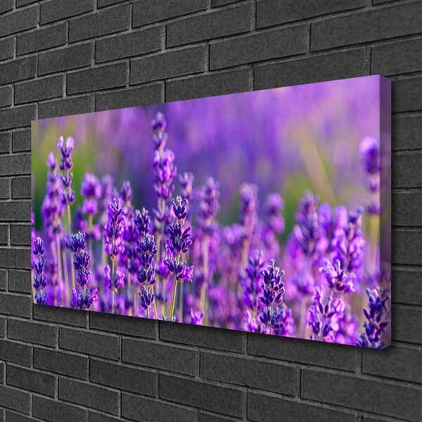 Obraz canvas Prowansalskie Pole Lawendy