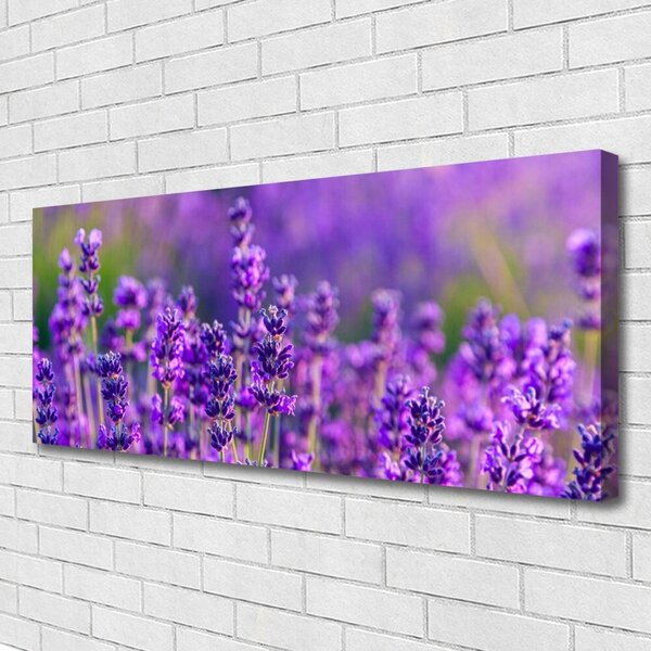 Obraz canvas Prowansalskie Pole Lawendy