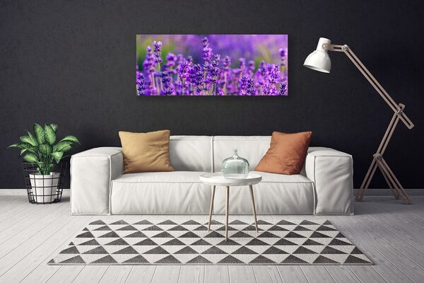 Obraz canvas Prowansalskie Pole Lawendy
