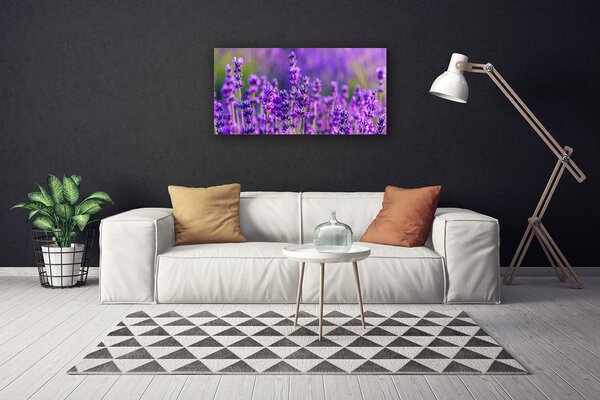 Obraz canvas Prowansalskie Pole Lawendy