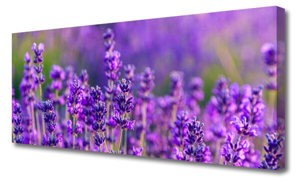 Obraz canvas Prowansalskie Pole Lawendy
