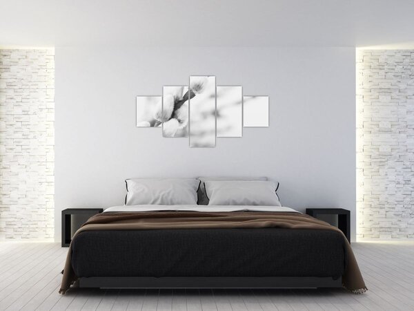 Obraz - Początek wiosny (125x70 cm)
