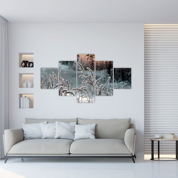 Obraz - Frozen Meadow (125x70 cm)