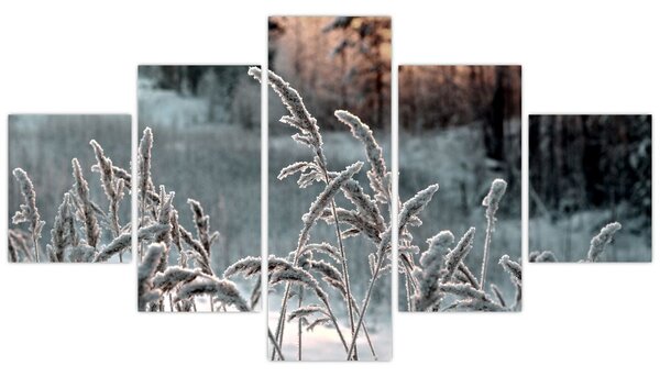 Obraz - Frozen Meadow (125x70 cm)