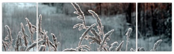 Obraz - Frozen Meadow (170x50 cm)
