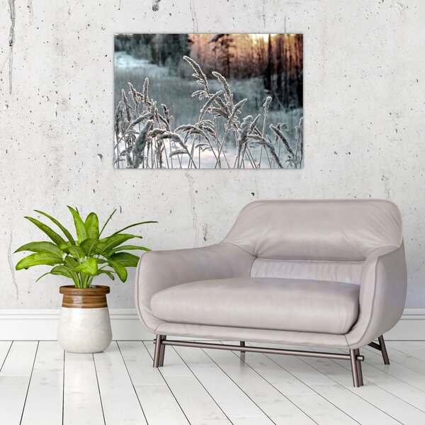 Obraz - Frozen Meadow (70x50 cm)