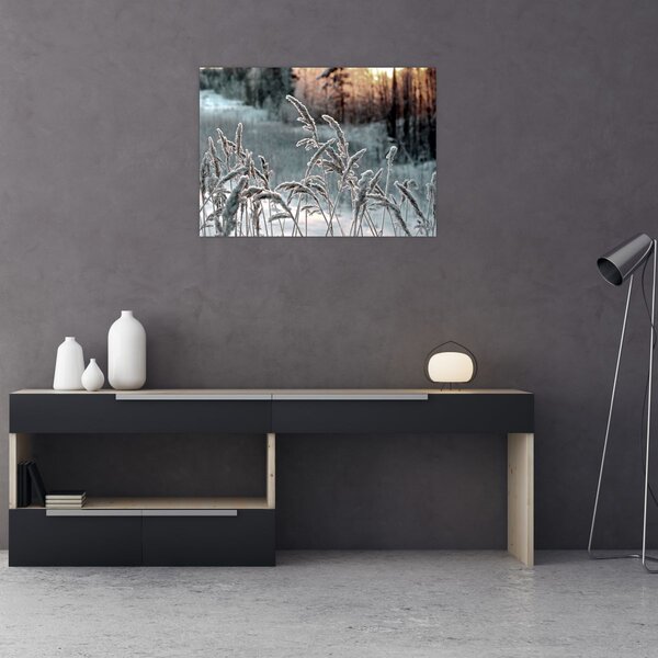 Obraz - Frozen Meadow (70x50 cm)