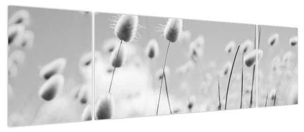Obraz - Trawa z ogonkiem króliczka Boho (170x50 cm)