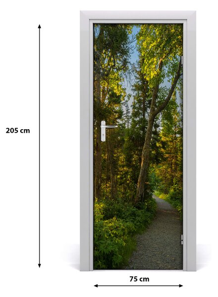 Naklejka fototapeta na drzwi Ścieżka w lesie