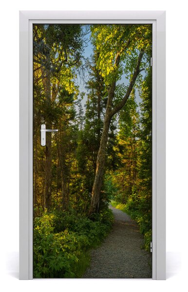 Naklejka fototapeta na drzwi Ścieżka w lesie