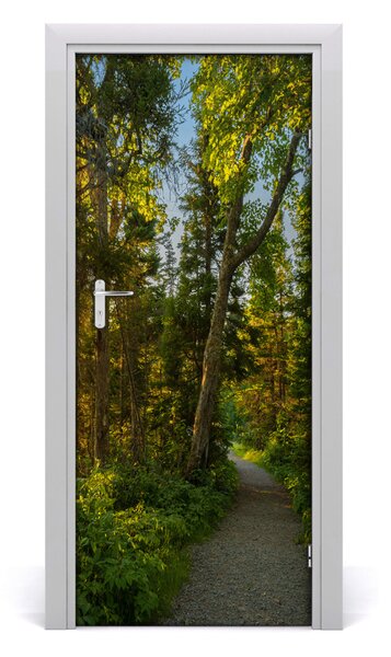 Naklejka fototapeta na drzwi Ścieżka w lesie