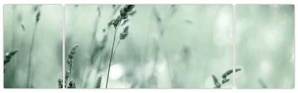 Obraz - Zielona łąka (170x50 cm)
