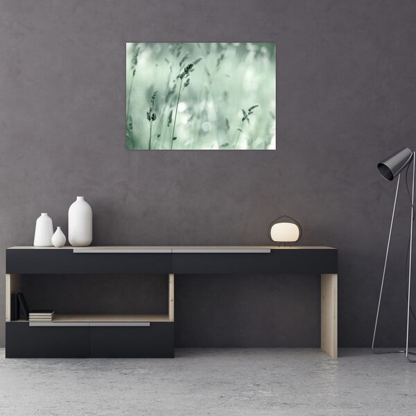 Obraz - Zielona łąka (70x50 cm)