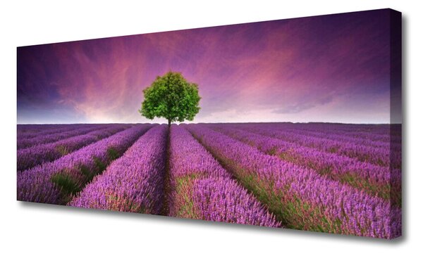 Obraz canvas Samotne Drzewo na Łące