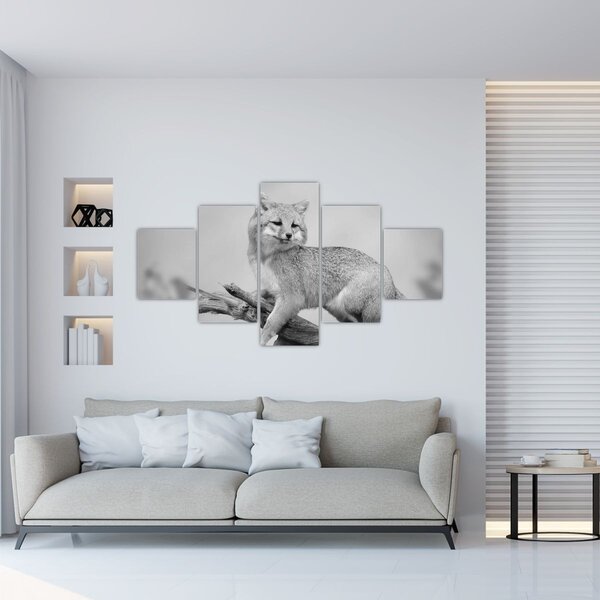 Obraz - Lis szary (125x70 cm)