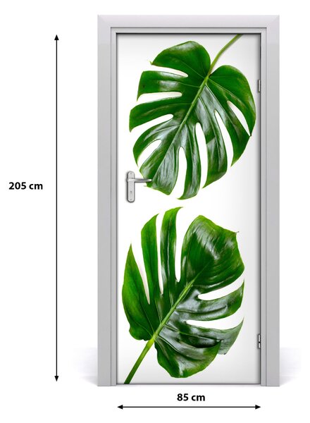 Okleina Naklejka fototapeta na drzwi Monstera