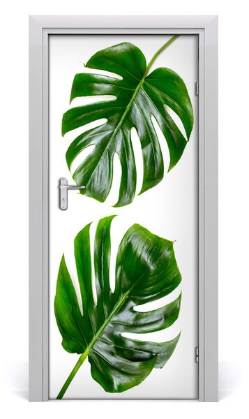 Okleina Naklejka fototapeta na drzwi Monstera