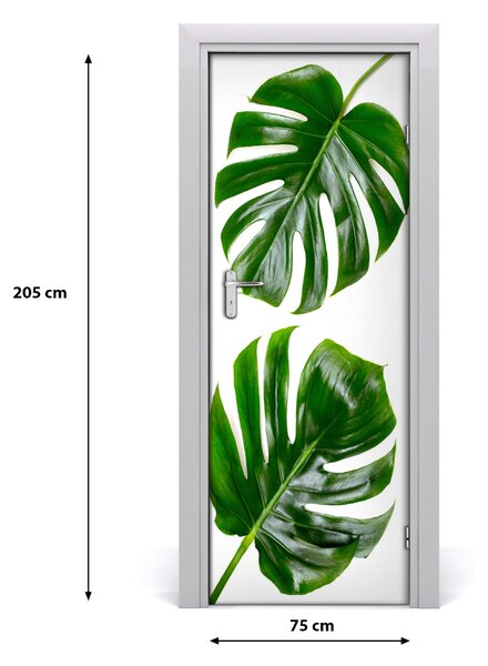 Okleina Naklejka fototapeta na drzwi Monstera