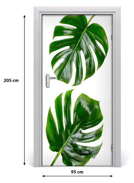 Okleina Naklejka fototapeta na drzwi Monstera