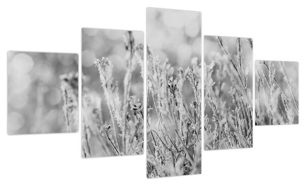 Obraz - Mroźna zima (125x70 cm)