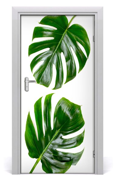 Okleina Naklejka fototapeta na drzwi Monstera