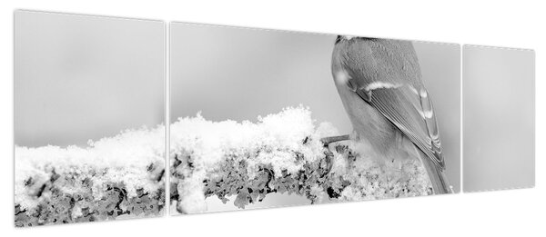 Obraz - Ptak na gałęzi (170x50 cm)
