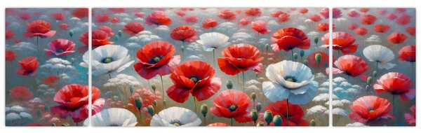 Obraz - Pole maków (170x50 cm)