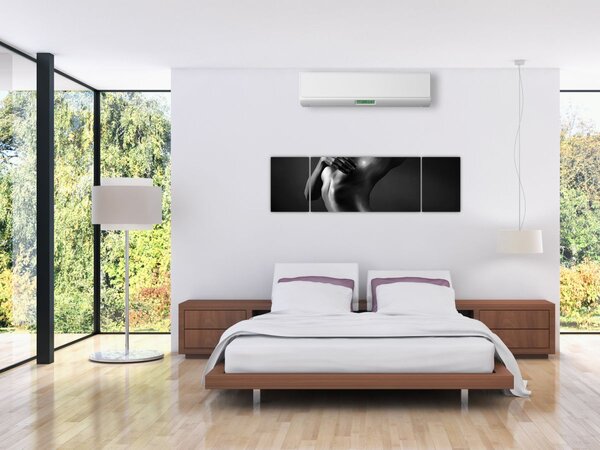 Obraz - Nagie kobiety (170x50 cm)