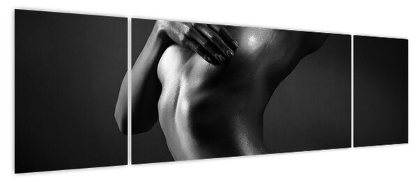 Obraz - Nagie kobiety (170x50 cm)