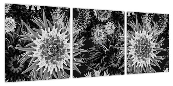 Obraz - Czarne i białe osty (z zegarem) (90x30 cm)