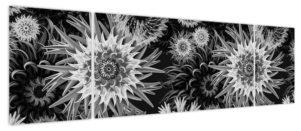Obraz - Czarne i białe osty (170x50 cm)