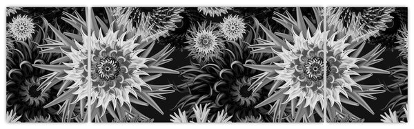 Obraz - Czarne i białe osty (170x50 cm)