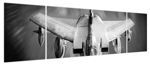 Obraz - Samolot (170x50 cm)