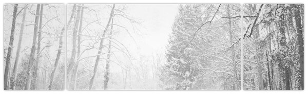 Obraz - Drewniane molo zimą (170x50 cm)