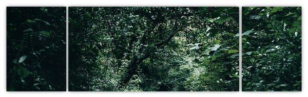 Obraz - Ścieżka przez las (170x50 cm)