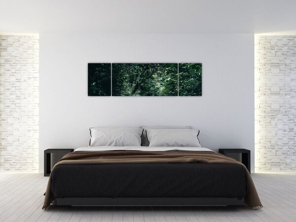 Obraz - Ścieżka przez las (170x50 cm)