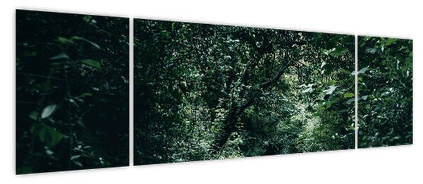 Obraz - Ścieżka przez las (170x50 cm)