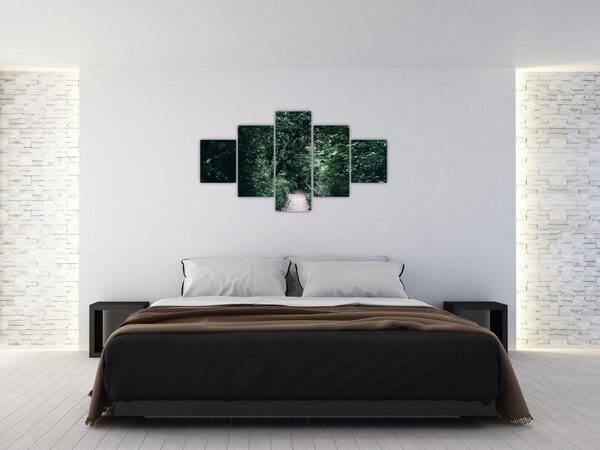 Obraz - Ścieżka przez las (125x70 cm)