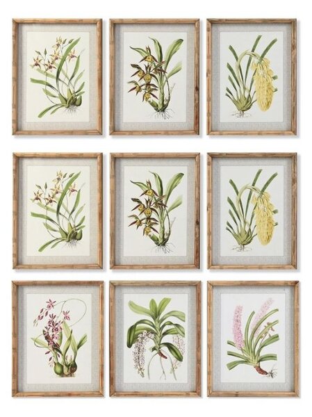 Emaga Obraz DKD Home Decor Tropikalny Kwiaty, rośliny i drzewa (35 x 2,8 x 45 cm) (9 Sztuk)