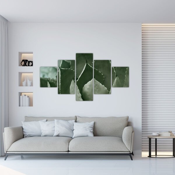 Obraz - Zielona agawa (125x70 cm)