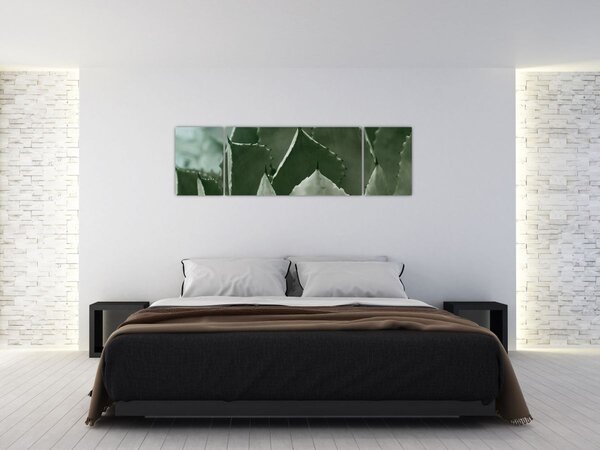 Obraz - Zielona agawa (170x50 cm)