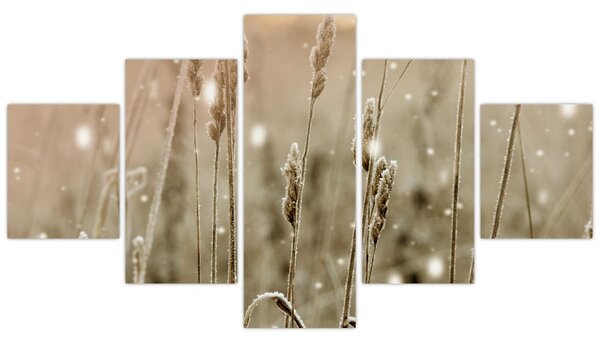 Obraz - Harmonious Meadow (125x70 cm)