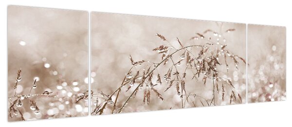 Obraz - Łąka w odcieniach brązu (170x50 cm)