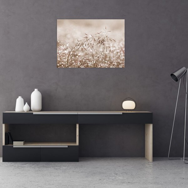 Obraz - Łąka w odcieniach brązu (70x50 cm)