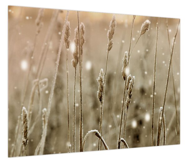 Obraz - Harmonious Meadow (70x50 cm)