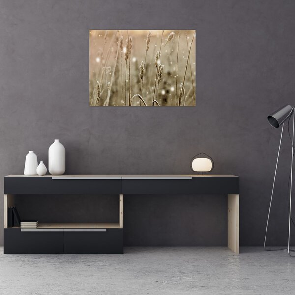 Obraz - Harmonious Meadow (70x50 cm)