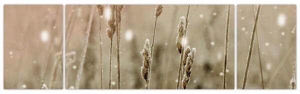 Obraz - Harmonious Meadow (170x50 cm)