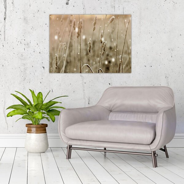 Obraz - Harmonious Meadow (70x50 cm)