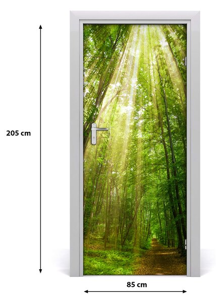 Naklejka fototapeta na drzwi Ścieżka w lesie