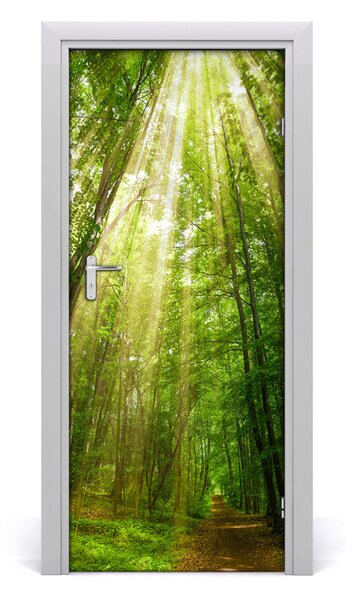 Naklejka fototapeta na drzwi Ścieżka w lesie